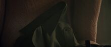 AdrianaPetCostume