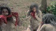 Cannibal Holocaust