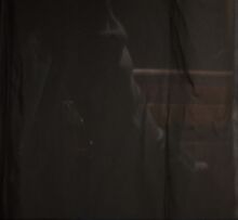 AdrianaPet58