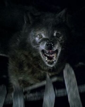 Wolfen Monster And Slashers Wiki Fandom