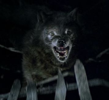 Wolfen Monster And Slashers Wiki Fandom