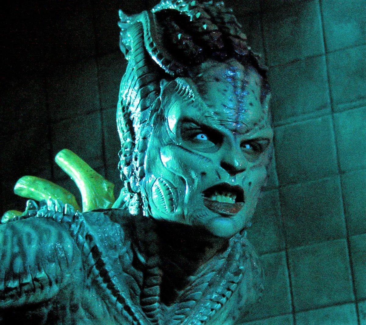 Miranda Hollander | Monster and Slashers Wiki | Fandom, image size:1200x1068