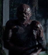 Victor Crowley 10