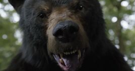 CokeBearThumbnail