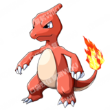 No.50006 Charizard Y(MEGA)(Shiny), Monster Wiki