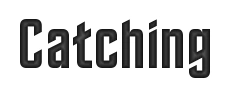 CatchingHeader