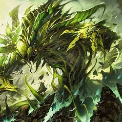 spiderman monstera Spiderman Monstera – Plant Detectives