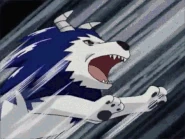 Stone Dragon defeats a young Tiger.