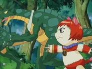 2 in 1: Bracelet + pawpads error.