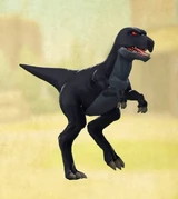 Black Dino 3