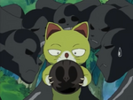 Mew sniffs