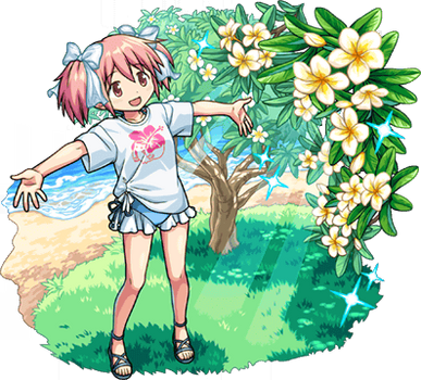アガベ　円(MADOKA) Yahoo!オークション - 【hiiro】アガベ 円 子株 agave titanota