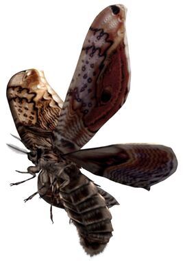 Giant Moth.jpg