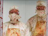 Doctors (The Cabin in the Woods)