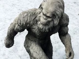 Yeti
