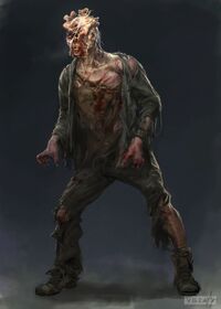 Stalker lastofus