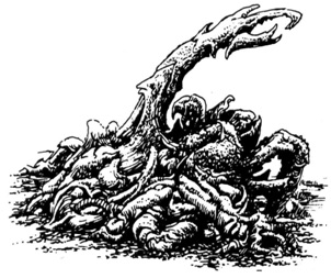 Cynothoglis image