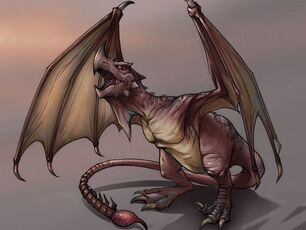 Wyvern small