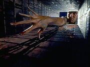Tooms