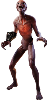 Sectoid 2x