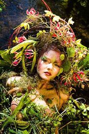 Nymph100image