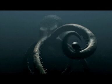 Organism46-Bimage.jpg