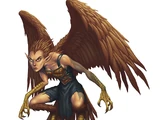 Harpy