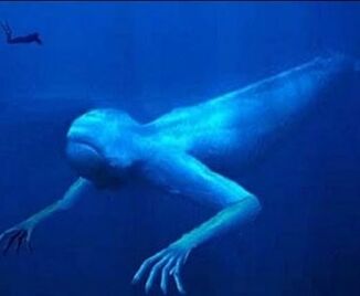 Ningen