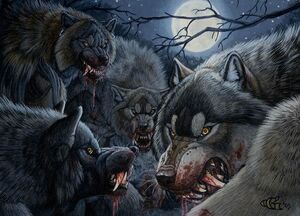 Werewolves pack