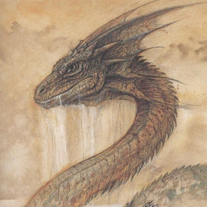 A drawing of a sea serpent