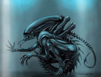 Xenomorph