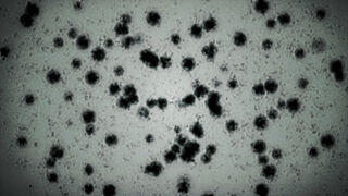 T-Virus.jpg