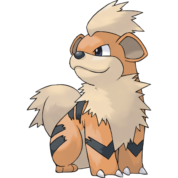 Dog groomer evolves puppy into fire Pokemon Arcanine in viral