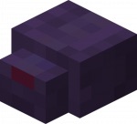 Endermiteimage
