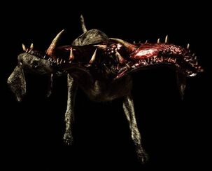 Re5-Adjule-3