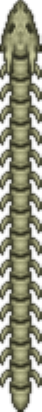 Bone Serpent
