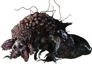 Mutated Moreau