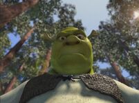 Shrek angryshrek