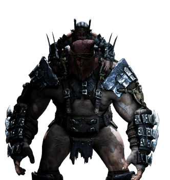 Ferra torr