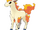 Ponyta