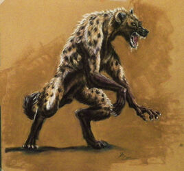 Werehyena