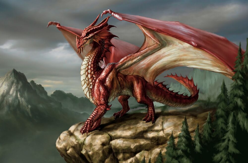 European/Western Dragon standing on rock in front of mountains