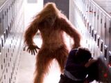 Sasquatch (The Cabin in the Woods)