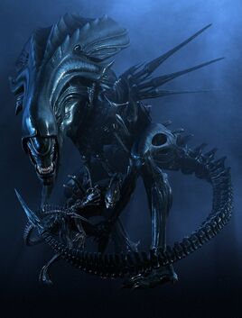 Queen AlienPress still01