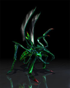 Hopper bug.jpg