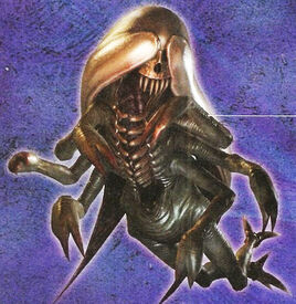 Sea creeper scan