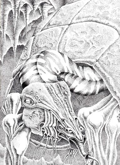 The Dweller in the Gulf image