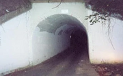 Bunnyman bridge