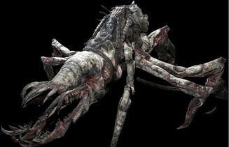 Seeder.jpg