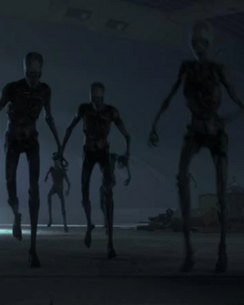 Boneys